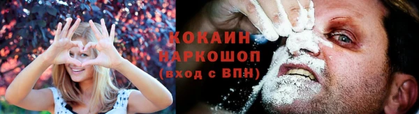 амф Дмитров