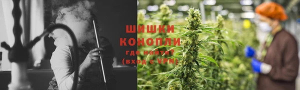 твердый Дмитровск