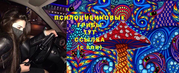 амф Дмитров