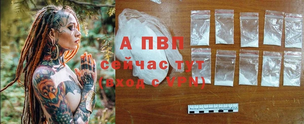 амф Дмитров