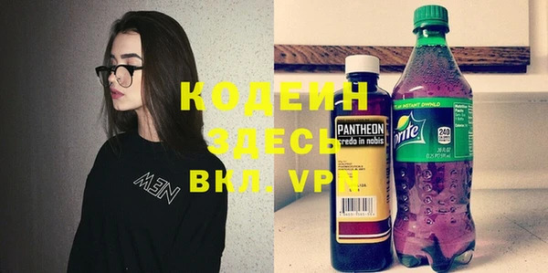 твердый Дмитровск