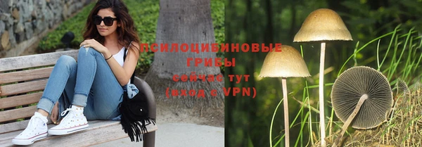 амф Дмитров