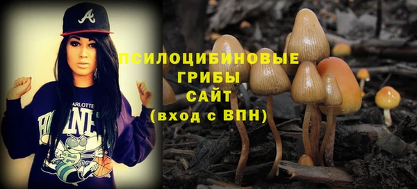 амф Дмитров