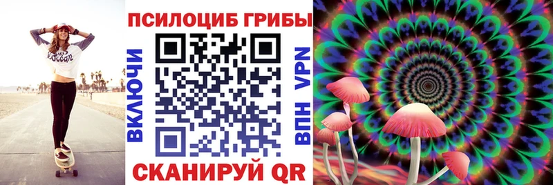 Псилоцибиновые грибы Psilocybe  Искитим 